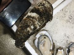 -蚝专家(北滘店)