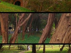 -小麦岛公园
