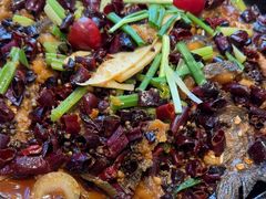 -老板恋上鱼(恒隆广场店)