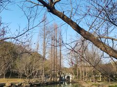 -兰亭风景区