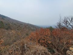 -紫霞湖公园
