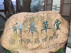 -广州神农草堂中医药博物馆