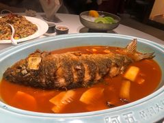 -阿五黄河大鲤鱼(英协路店)