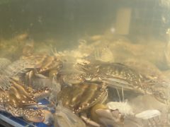-小时候焗海鲜(鄞州万达店)