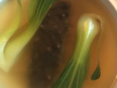 -苏浙汇(朝外店)
