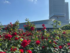 -上海科技馆(地铁站)