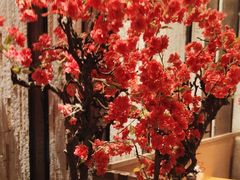 -赤坂亭·M9和牛烧肉·铁板烧·日料398放题(长泰广场店)