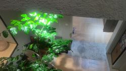 -香秀空间科技抗衰·美容中心