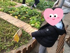 -海富新里城幼儿园