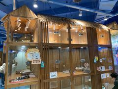 -龟与熊猫宠物公园(南坪店)