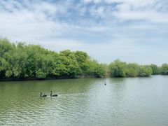 -长兴太湖图影湿地文化园