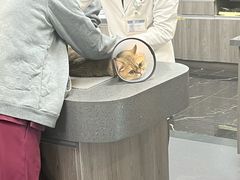 -宠颐生斯嘉宠物医院·急重症·心内科(谷阳北路分院)