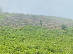 -妙峰山风景名胜区