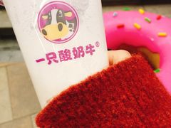 -一只酸奶牛(八一路店)
