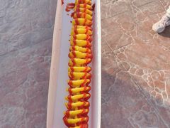 -郑州方特梦幻王国