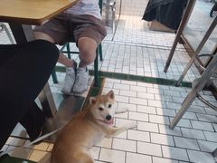 -豆豆冰室·地道招牌椰子冻(大良店)