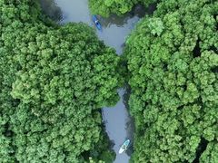 -动邦皮划艇·桨板·独木舟·团建户外运动俱乐部