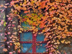 -半岛1919创意园区