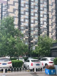 -熙朵美学植发·连锁品牌