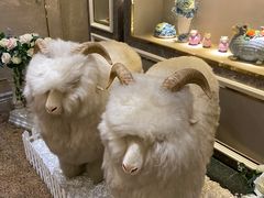 -新兴家喻酒家·羊城名宴(昌岗店)