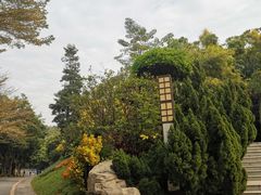 -深圳国际园林花卉博览园