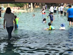 -上海月湖雕塑公园