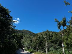 -北京西山国家森林公园