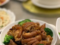 -卡尔顿东方银龙酒店•广西菜•早茶