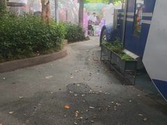 -哟吼艺术餐厅·亲子·生日宴