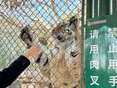 -上海野生动物园