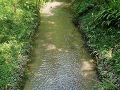 -桤木河湿地公园