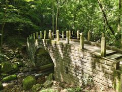 -牛背梁国家森林公园