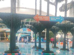 -海合安成都极地海洋公园