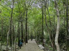 -玉渡山自然风景区