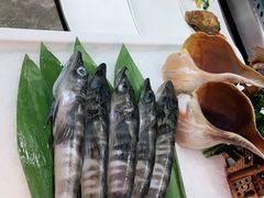 -丰卓会海鲜自助(中润大道店)