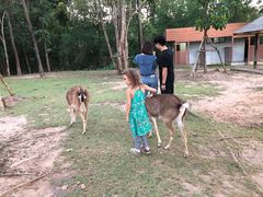 -清迈夜间动物园