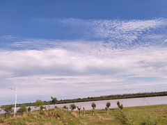 -哈拉新村
