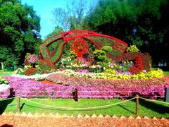 -上海共青森林公园