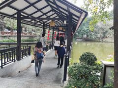 -侨美·唐荔园·40年地道粤菜