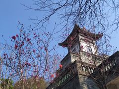 -广州神农草堂中医药博物馆