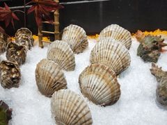 -枫伝料理居酒屋