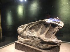 -自贡恐龙博物馆