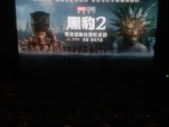 -万达影城(锦华万达广场IMAX店)