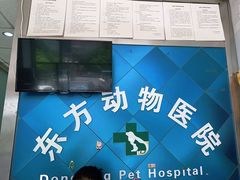 -东方动物医院·宠保定点·骨科·转诊中心(春城路·昆明站分院)