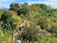 -大岭沟猕猴桃谷风景区