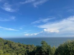 -广东惠东海龟国家级自然保护区