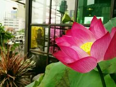 -听香·678茶铺(猛追湾店)