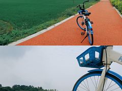 -风云岭森林公园