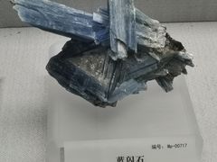 -湖南省地质博物馆