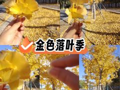 -苏州海洋馆